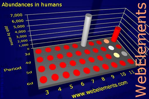 image showing Abundances in humans: d-block periodic periodicity for the d-block chemical elements