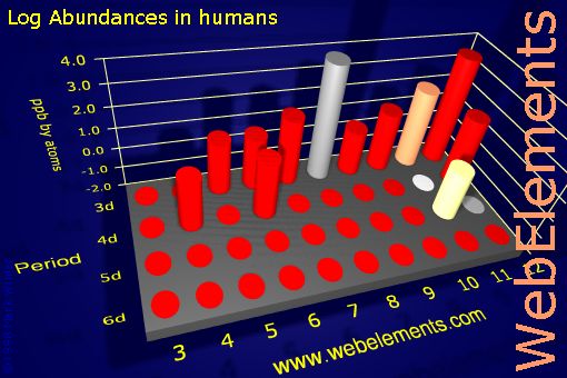 image showing Abundances in humans: d-block logs periodic periodicity for the d-block chemical elements