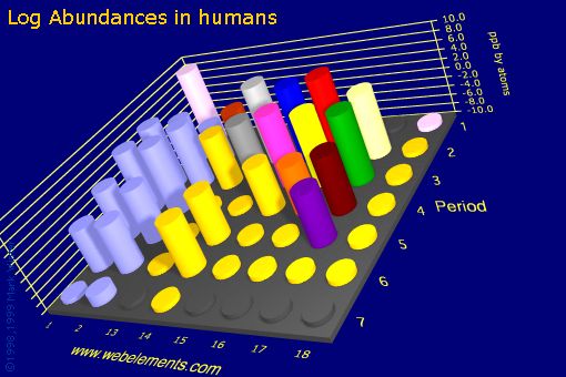 image showing Abundances in humans: s- and p-block logs periodic periodicity for the s and p block chemical elements