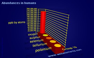 image showing Abundances in humans: group 16 periodic periodicity for group 16 chemical elements