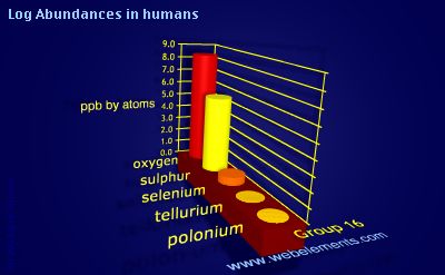 image showing Abundances in humans: group 16 logs periodic periodicity for group 16 chemical elements
