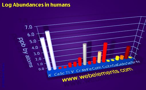 image showing Abundances in humans: period 4 logs periodic periodicity for period 4s, 4p, and 4d chemical elements
