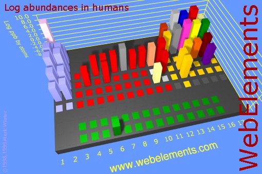 image showing Abundances in humans: cityscape logs periodic periodicity in a cityscape style for the chemical elements
