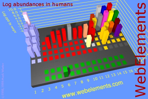 image showing Abundances in humans: cityscape logs periodic periodicity in a cityscape style for the chemical elements
