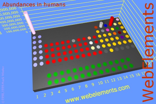 image showing Abundances in humans: cylinders periodic periodicity in a 3d cylinder style for the chemical elements