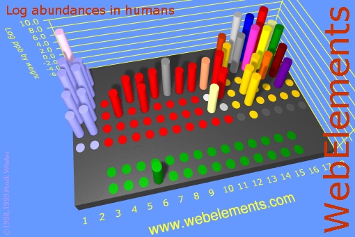 image showing Abundances in humans: cylinders logs periodic periodicity in a 3d cylinder style for the chemical elements