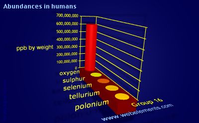 image showing Abundances in humans: group 16 periodic periodicity for group 16 chemical elements