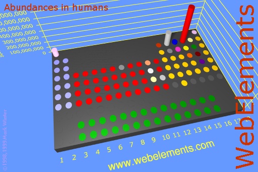 image showing Abundances in humans: cylinders periodic periodicity in a 3d cylinder style for the chemical elements