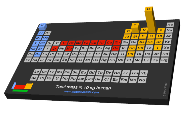 Image showing periodicity of the chemical elements for total mass in 70 kg human in a periodic table cityscape style.